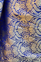 Jahnvi (Saree)