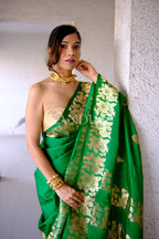 Dhaani (Saree)
