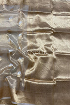 Nita Tissue Silk (Saree)